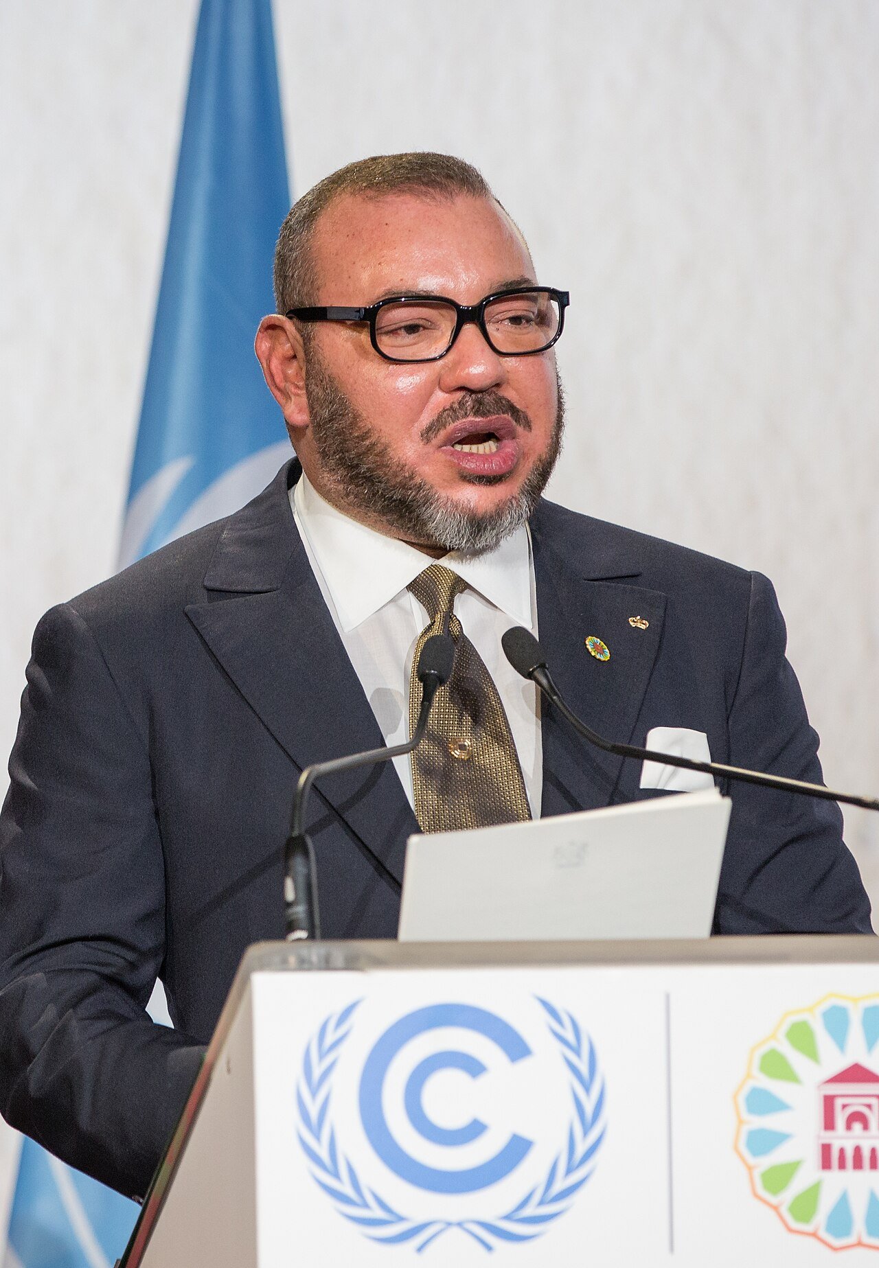 Le Roi Mohammed VI à la COP22 de Marrakech, 2016.